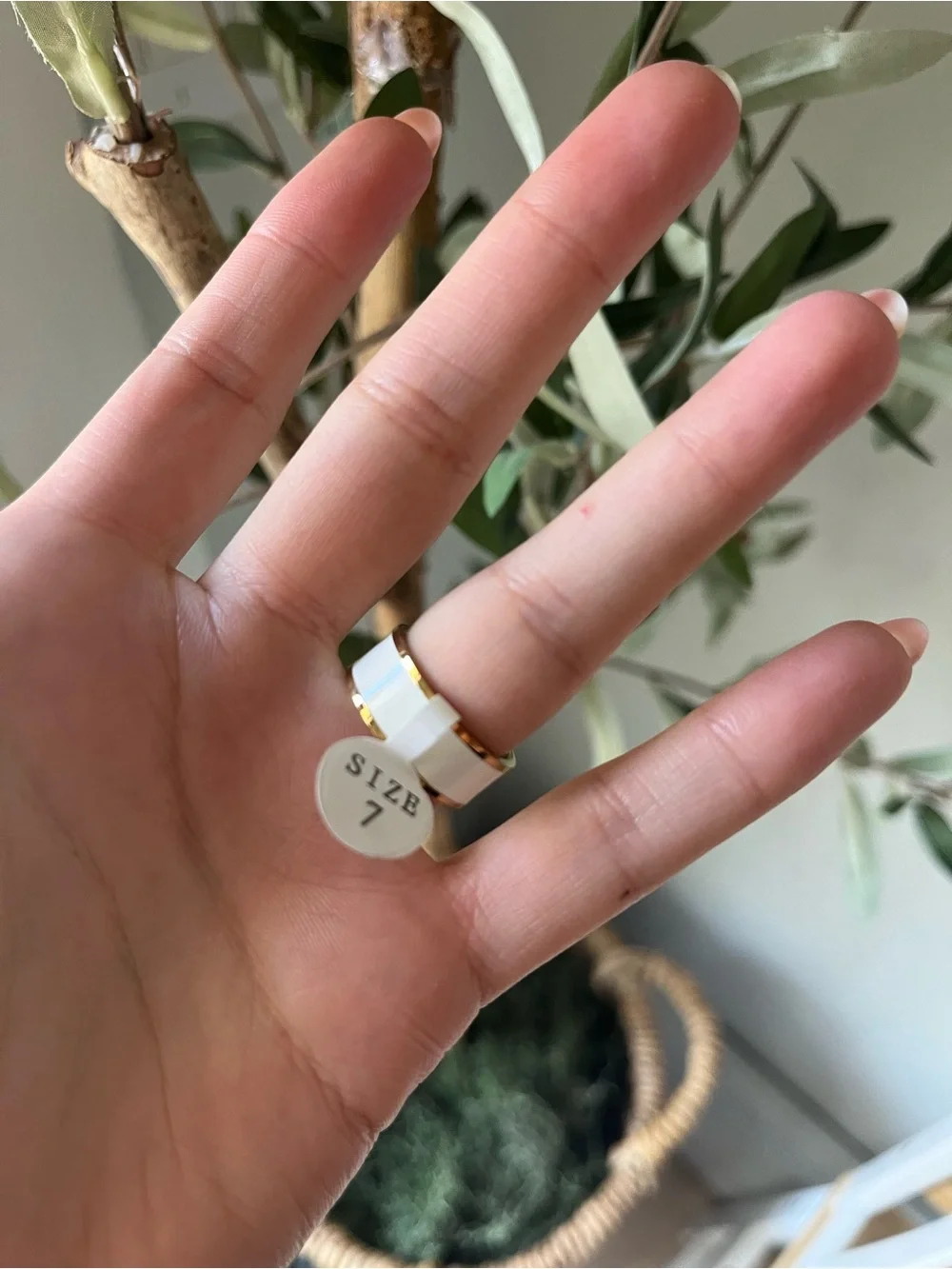 Gold and White ring